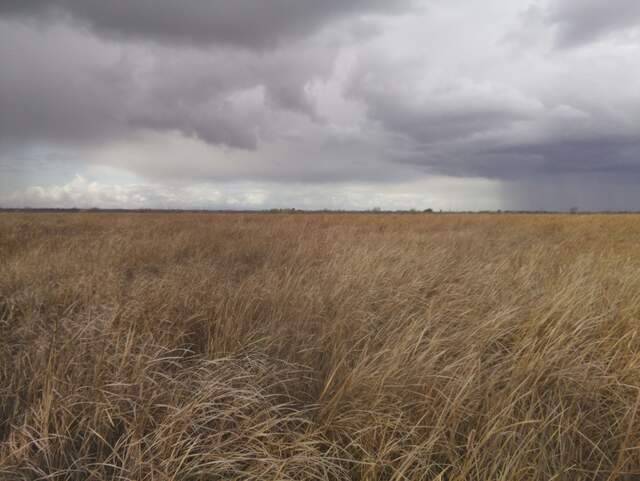 Stormy sky and rain on the horizon