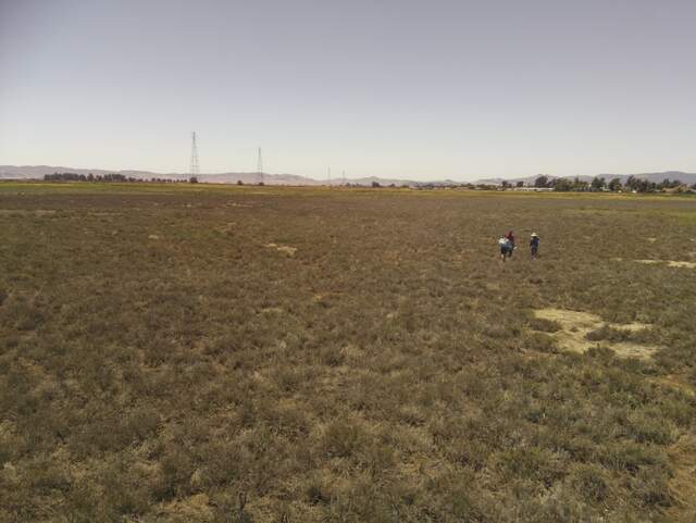 Carlos, Ari, and Daphne sampling soils