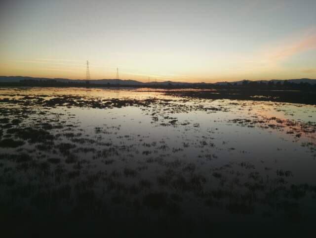 Nice sunset at low tide