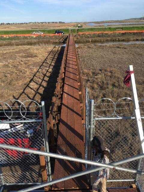 New boardwalk and fencing