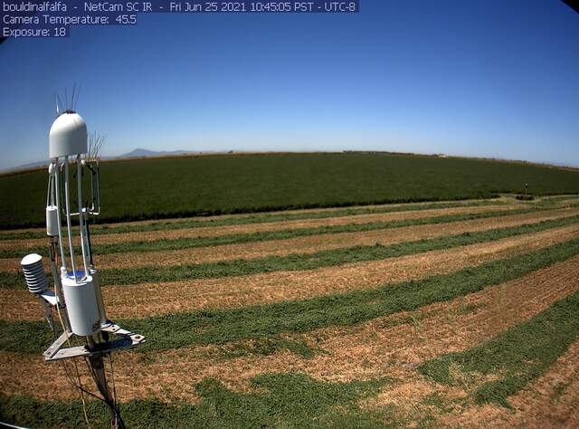view of field site