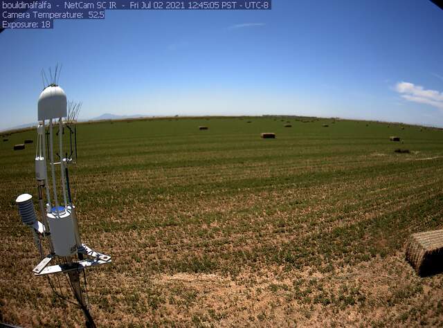 view of field site