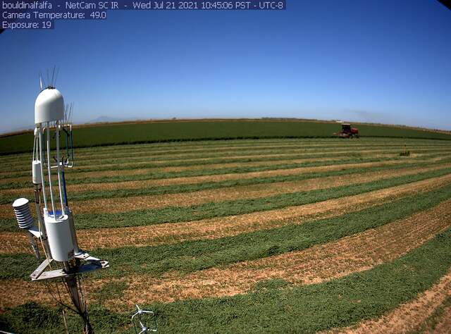 view of field site