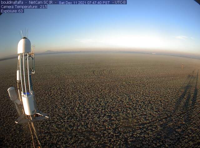 Tule fog and frost at sunrise