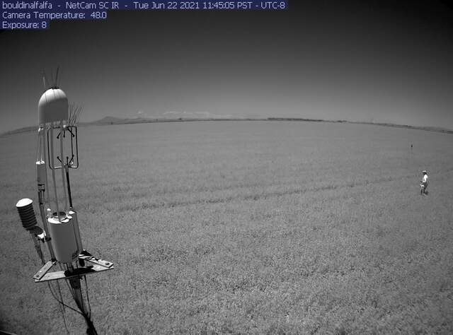 Dennis taking spectral measurements