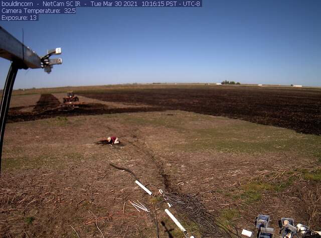 Daphne removing soil sensors from partly disked field