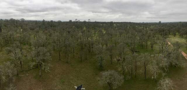 View from top of tower