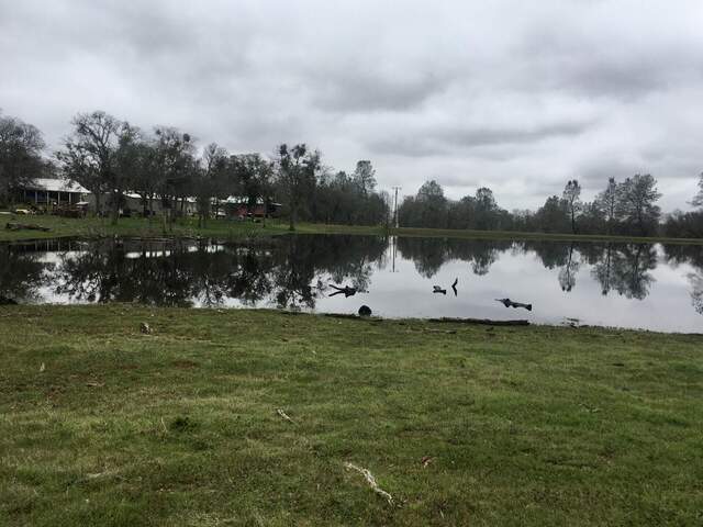 Skewed view of the pond