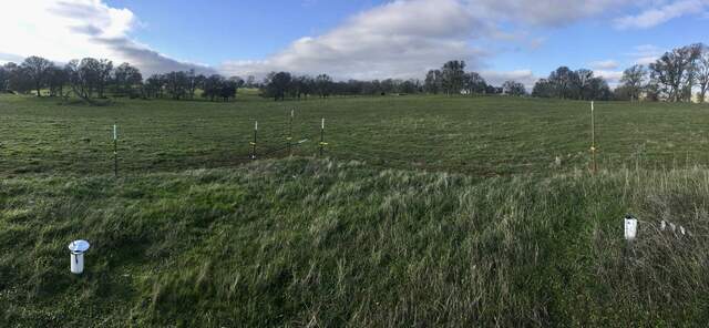 Grass inside the enclosure is taller than the grass outside