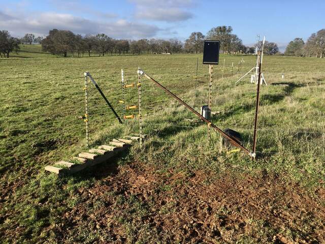 Cows have trampled around electric fence