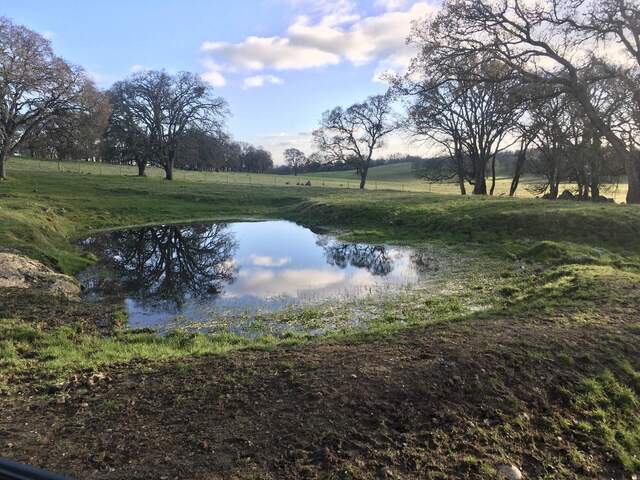 Watering hole has plenty of water
