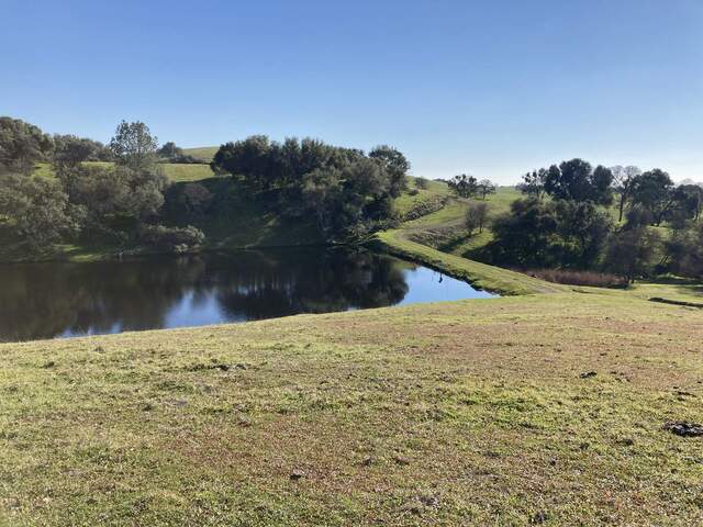 A view of the pond from the hill to the north.
