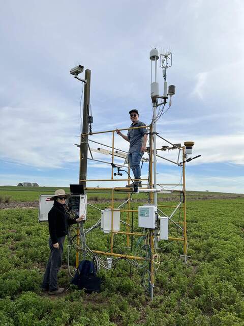 Daphne and Carlos servicing the BA tower