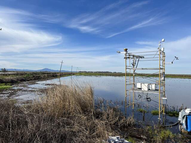 Flood field that is slowly draining. It