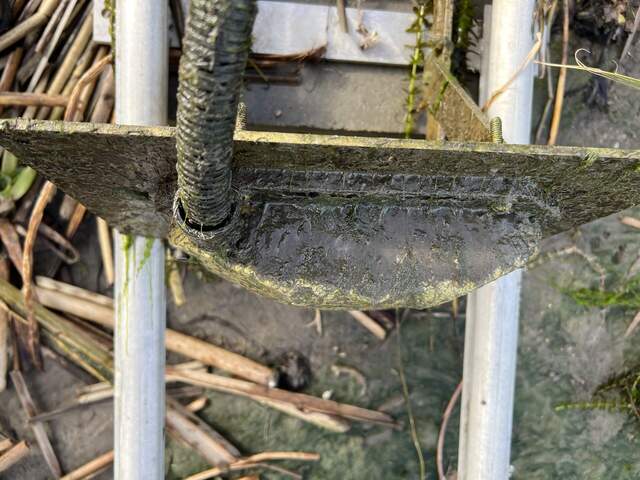 Fouling on top of Side-Looker. 6 weeks since previous cleaning.