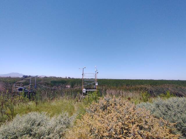Site visit