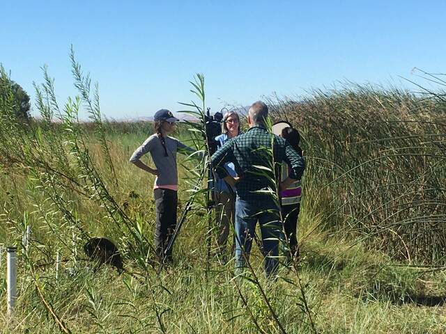 Katie Bandy getting interviewed by ABC7 about the Dutch Slough Restoration Project. Ari is acting as a microphone stand.
