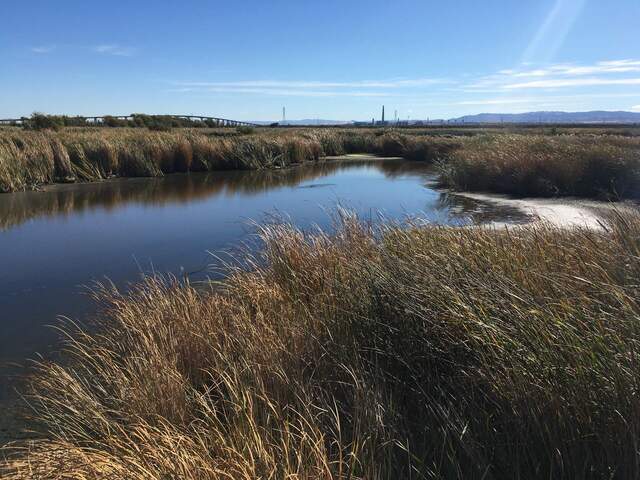 Low water level in Mayberry channel