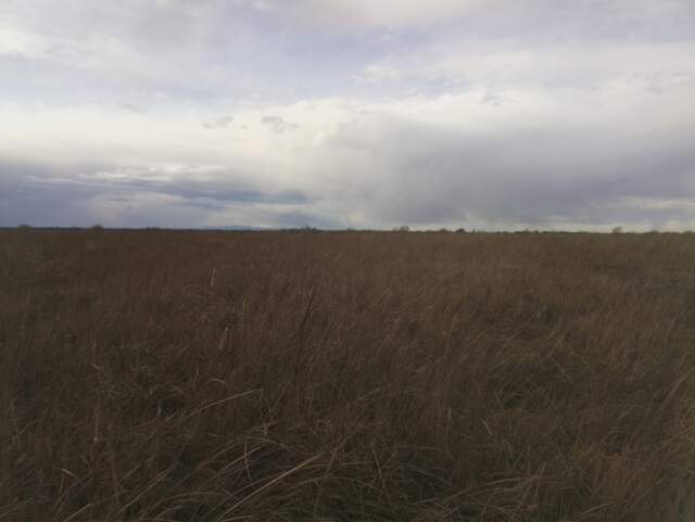 Nice clouds