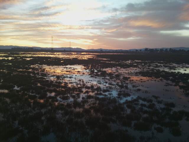 Nice sunset at low tide