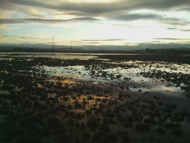 Nice sunset at low tide