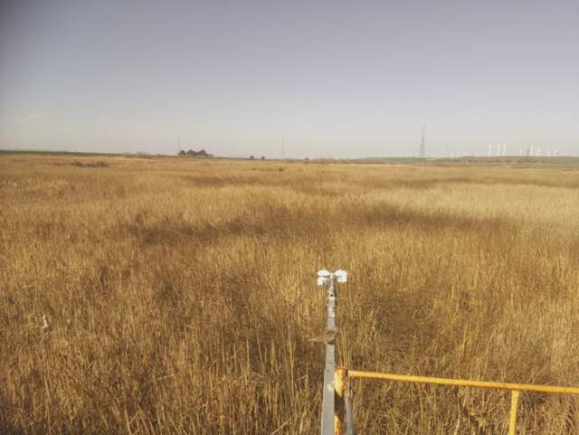 Meadowlark on the boom