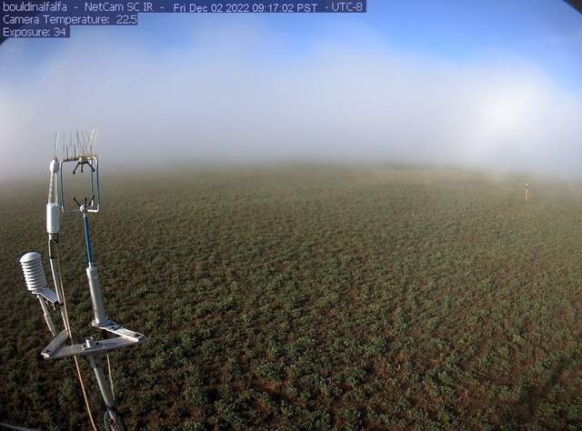Pretty Tule/ground fog