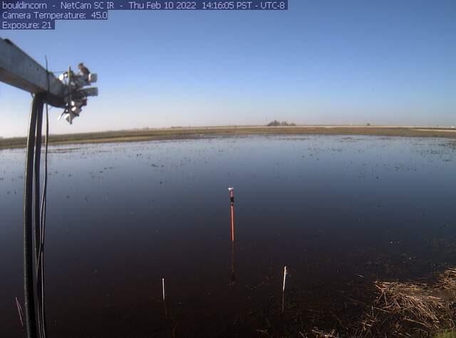 Bird on radiometers