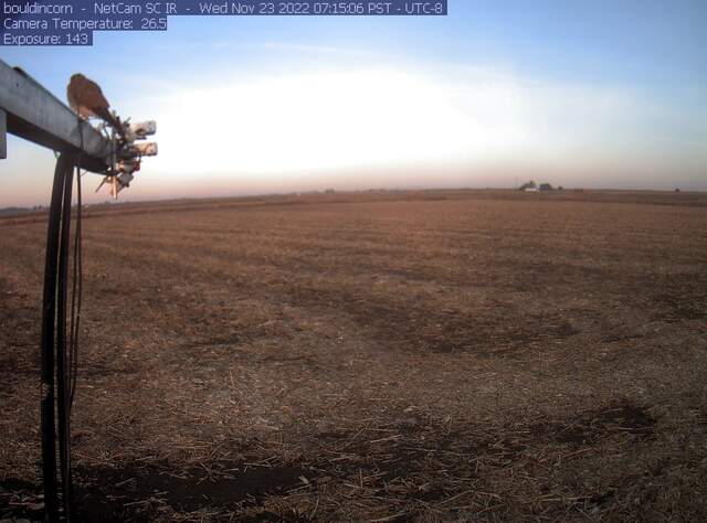 Kestrel? on boom
