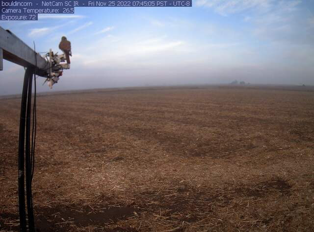 Kestrel? on radiometers