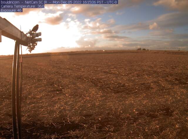 Kestral on radiometers at sunset