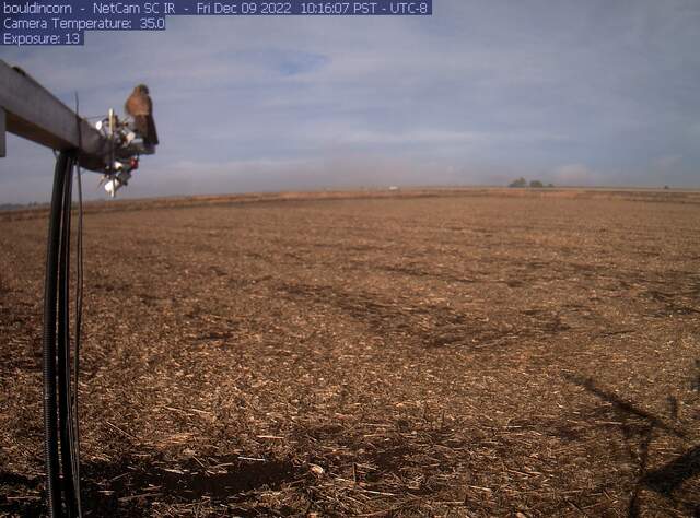 Kestral on radiometers