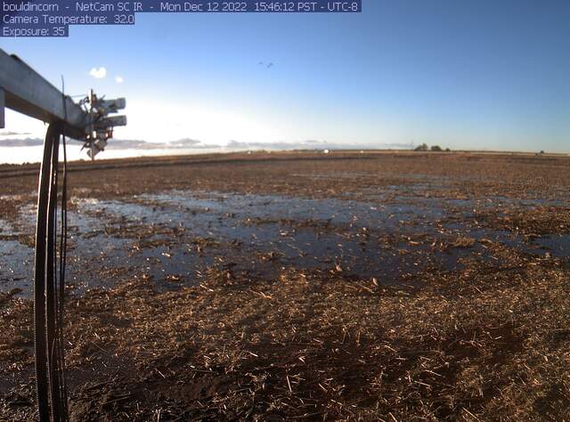 Field is flooding