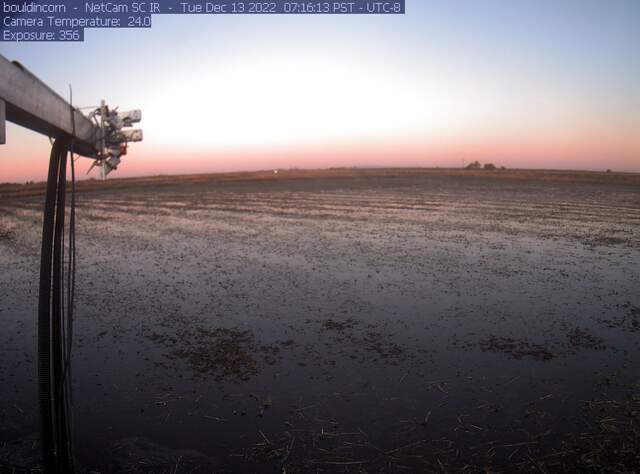 Dawn on fully flooded field