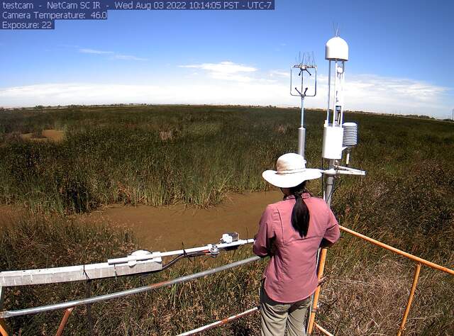 Daphne cleaning radiometers