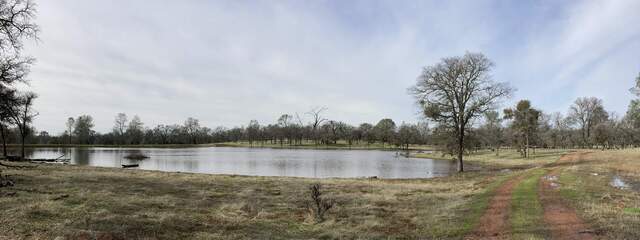 The pond is full after recent storms