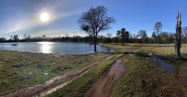 The pond is about as full as it gets