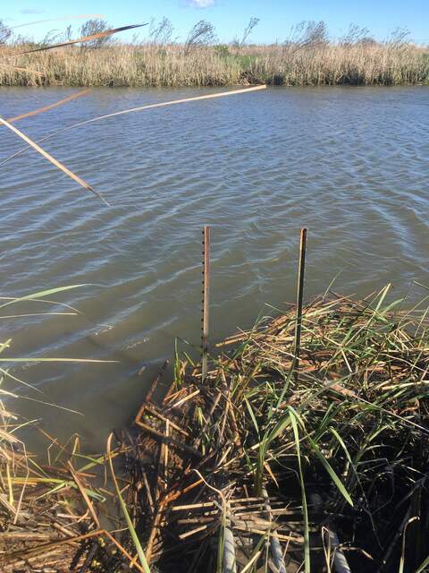 Turbid water in the channel, probably from all of the storms. Makes it hard to see if there