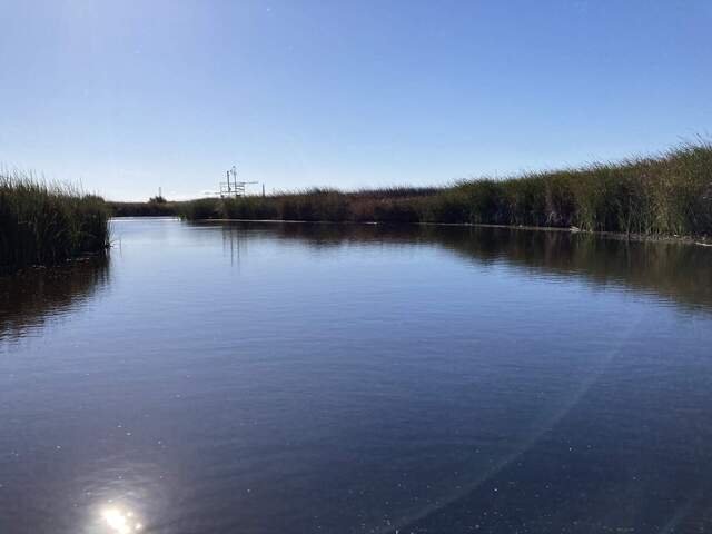 Autumn morning finding sampling locations along the tules