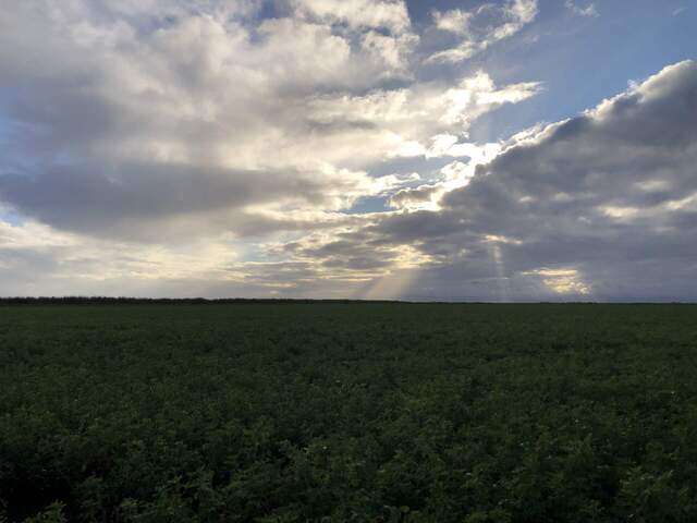 Sunbeams in front of Mount Diablo. This was shortly after a brief rain shower. 
