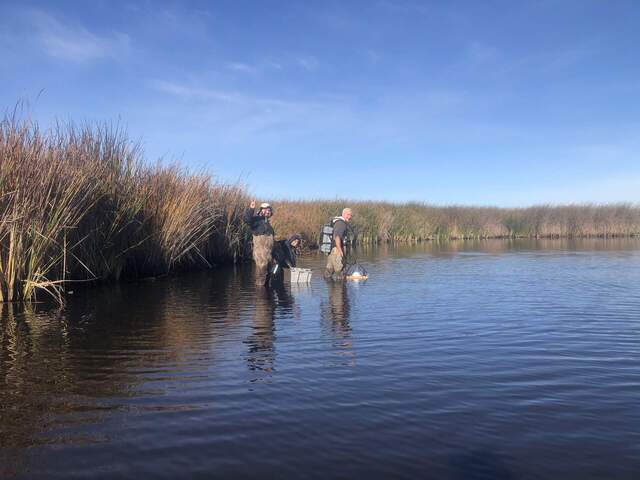 Eddie, Koong, and Kuno walking around with two Licor analyzers and a homemade floating chamber to measure CH4/CO2 fluxes during Kuno