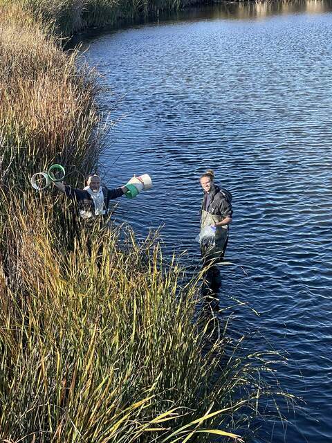Kuno and Robert finishing up soil and dissolved gas samples and collecting all of the soil collars