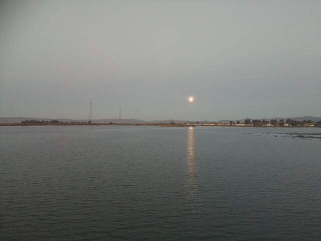 Full moon at dawn