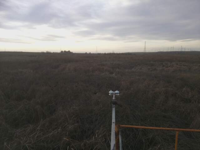 Grackle on radiometer boom