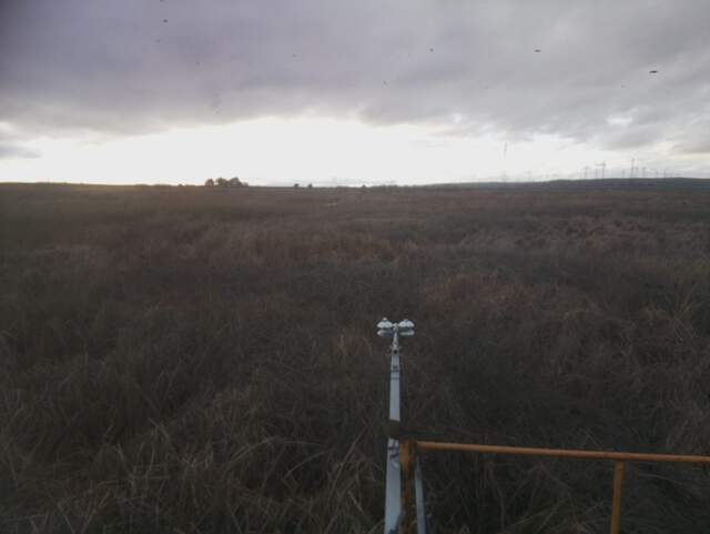 Bird on radiometer boom