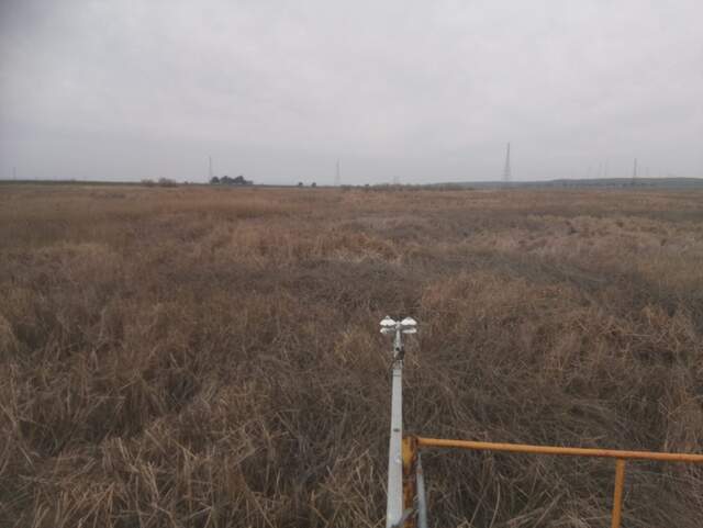 Bird on radiometer boom