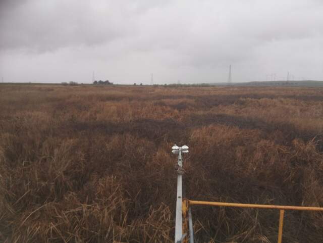Bird on radiometer boom