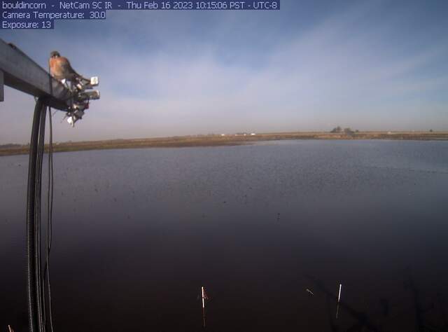 Kestral on radiometer boom