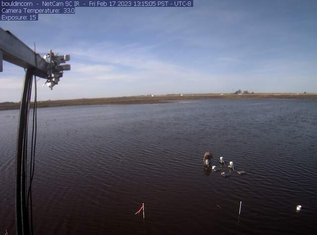 Charlotte setting up chambers on flooded field