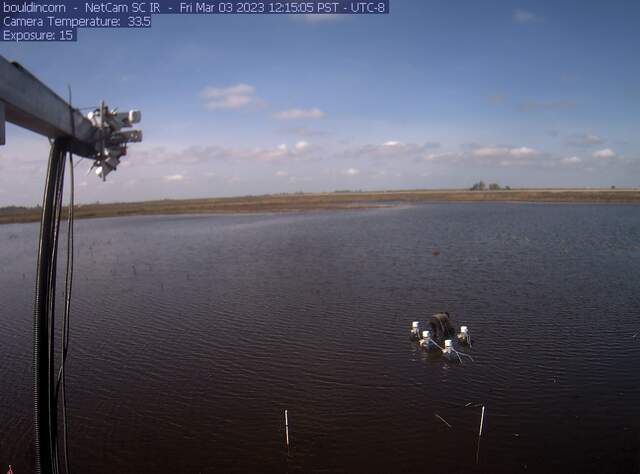 Charlotte setting up chambers on flooded field
